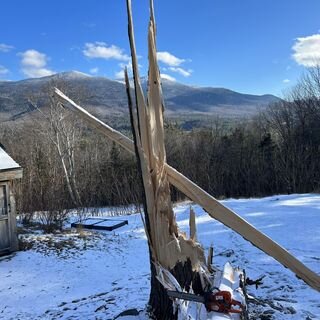 Avatar for Green Acres Landscaping