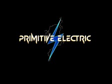 Avatar for Primitive Electric Inc