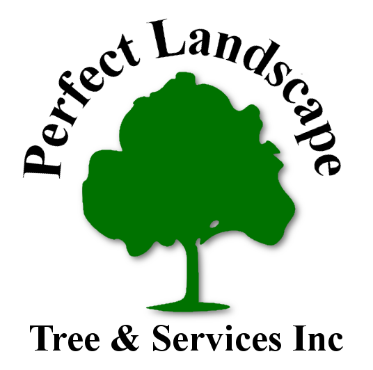Avatar for Perfect Landscape Tree & Services Inc.