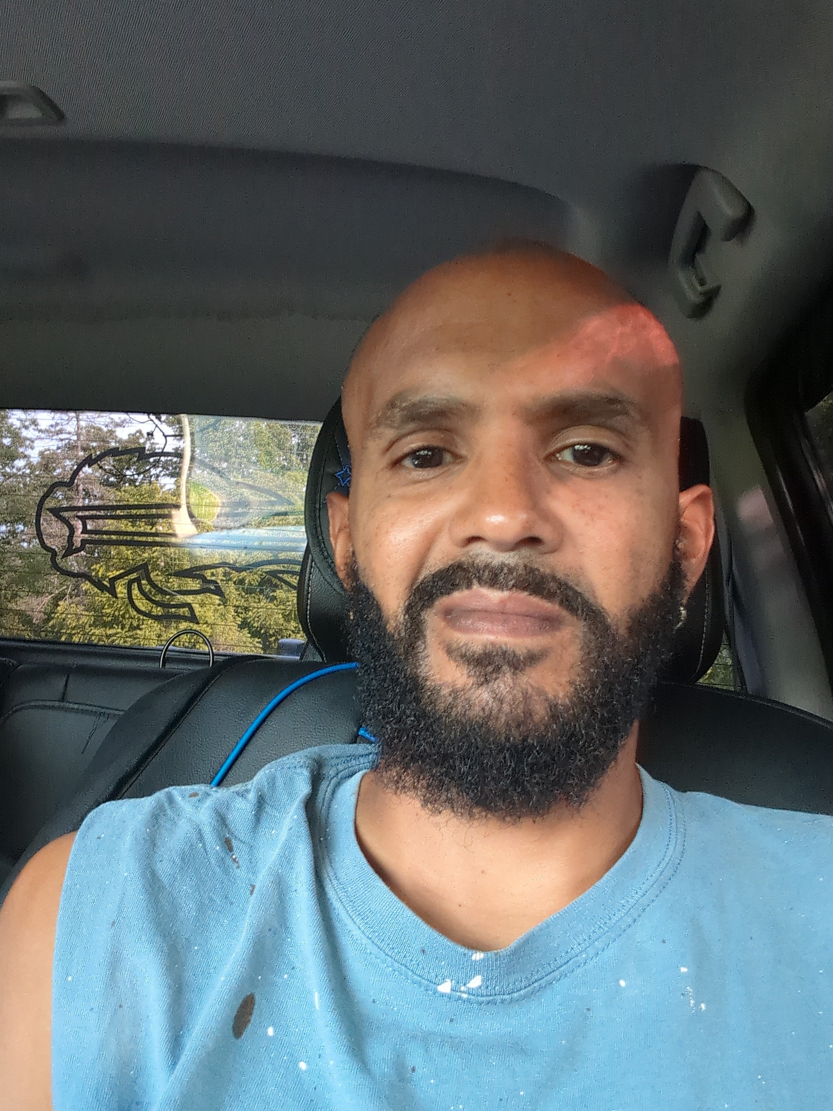 Avatar for Limners Interior and Exterior Service's