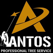 Avatar for AN Tree Service