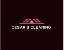 Avatar for Cesars Cleaning Services