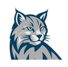 Avatar for Cool Cat Heating & Air LLC