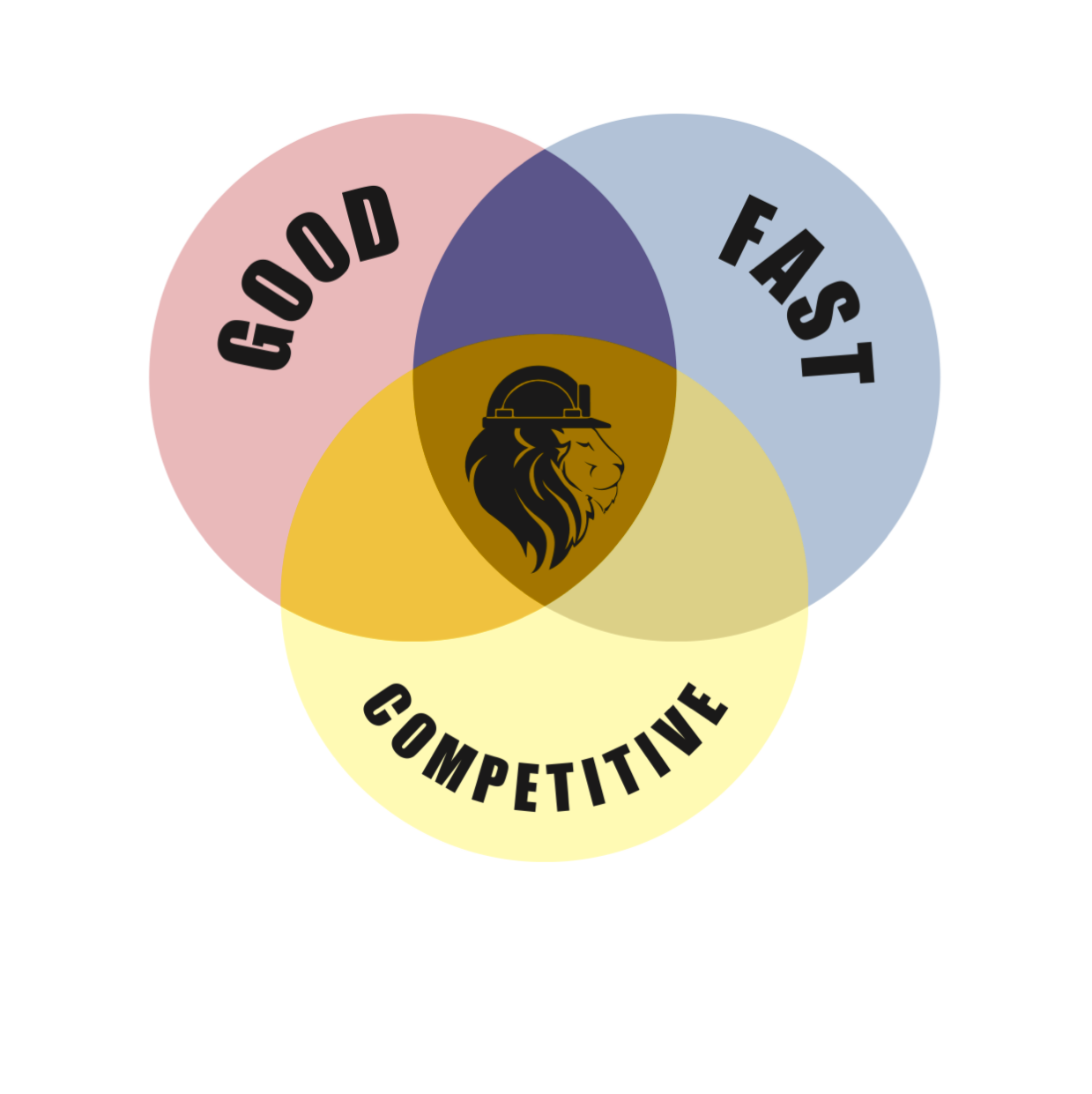 Logo for Lion Joint Ventures LLC