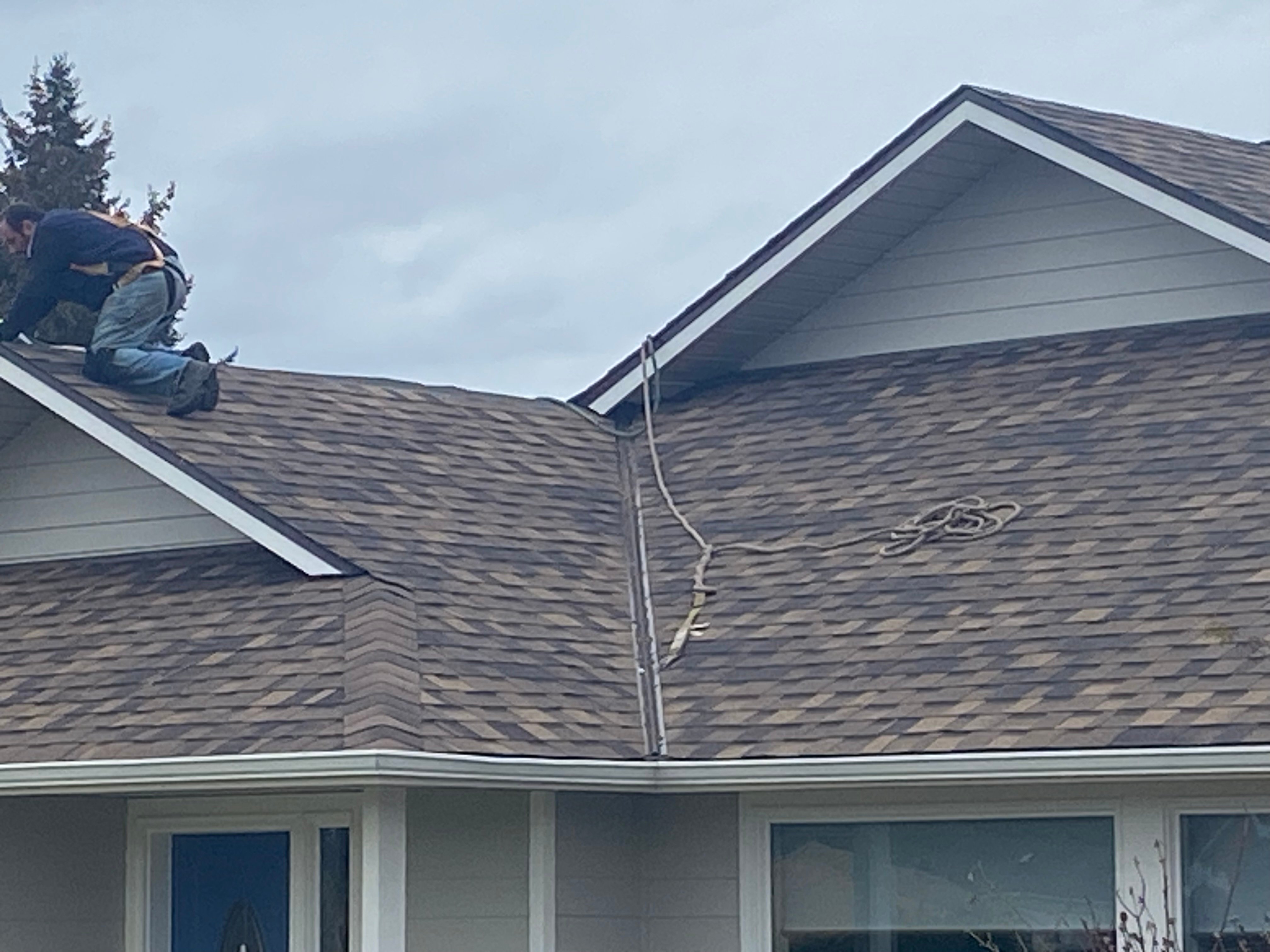 Avatar for Mr. Roof