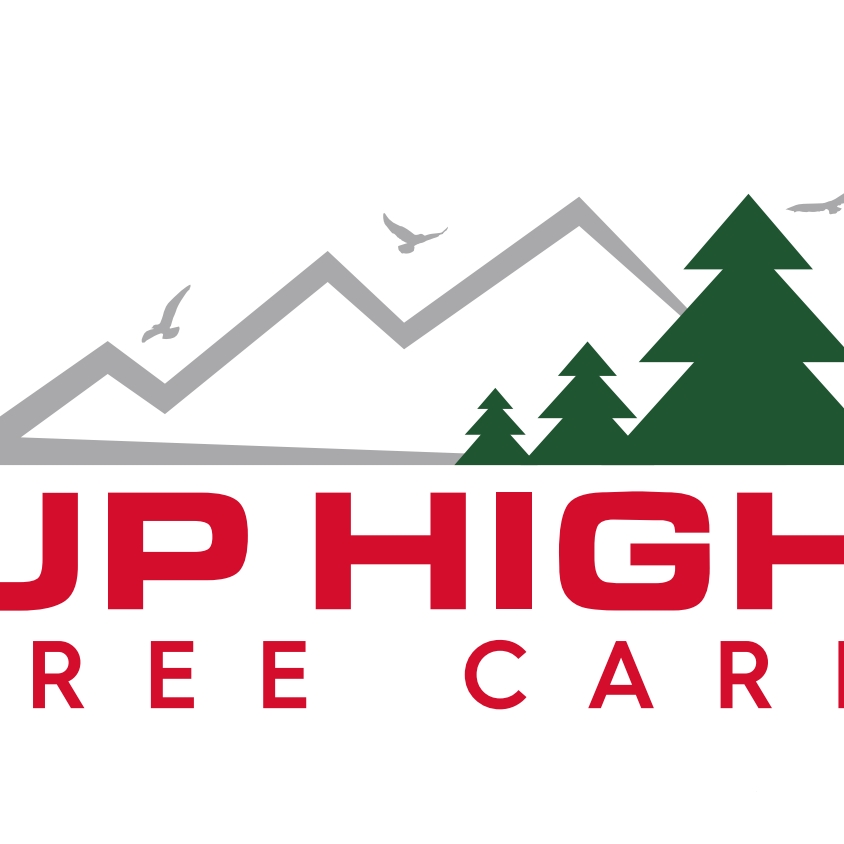 Logo for Up High Tree Care