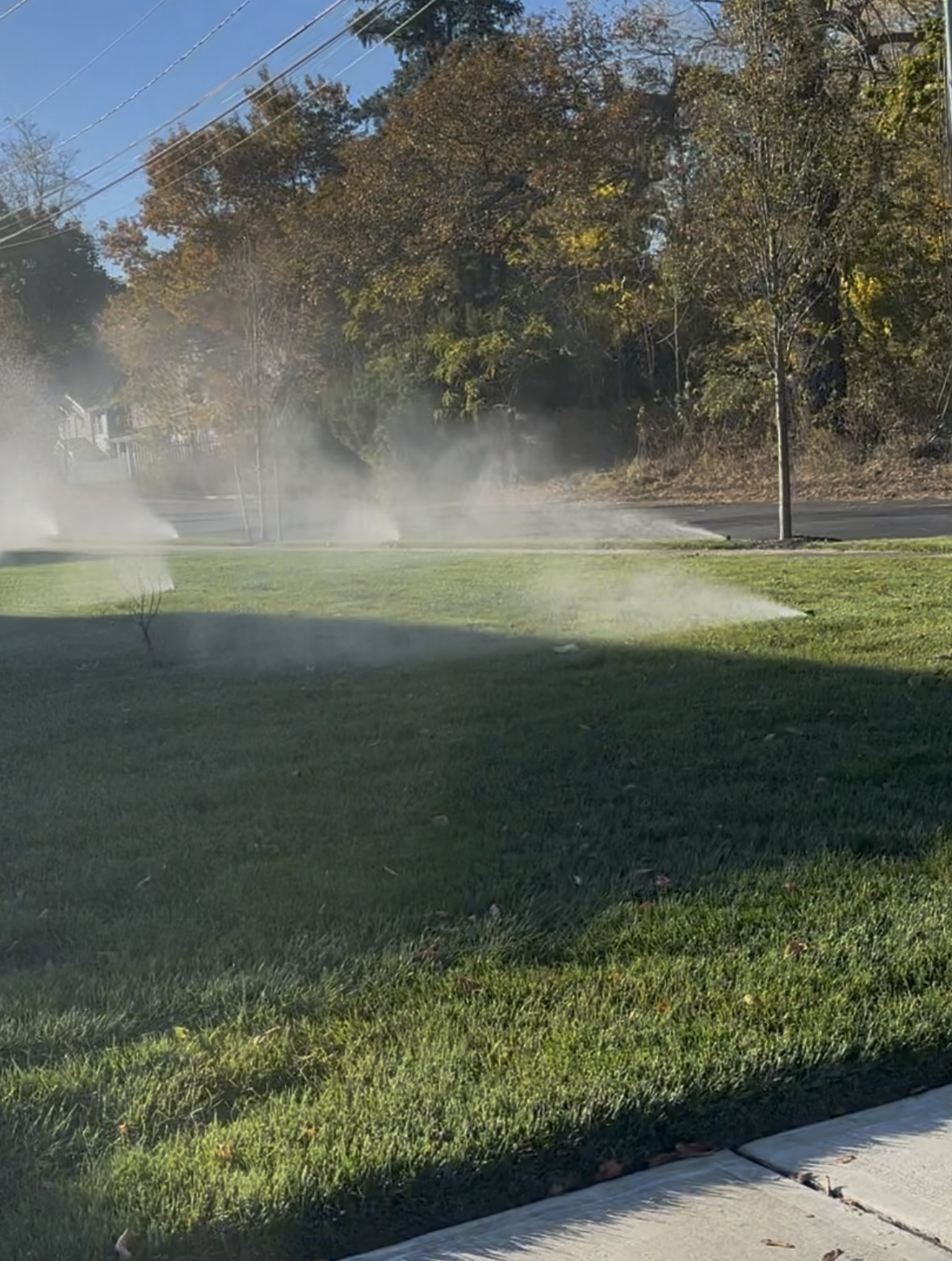 Avatar for Seppis sons irrigation