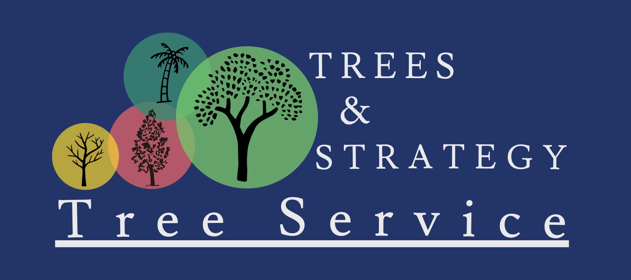 Avatar for Trees & Strategy Tree Service