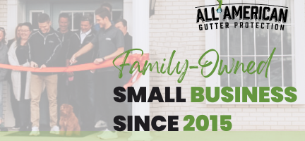 Avatar for All American Gutter Protection