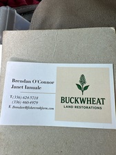 Avatar for Buckwheat Land Restorations