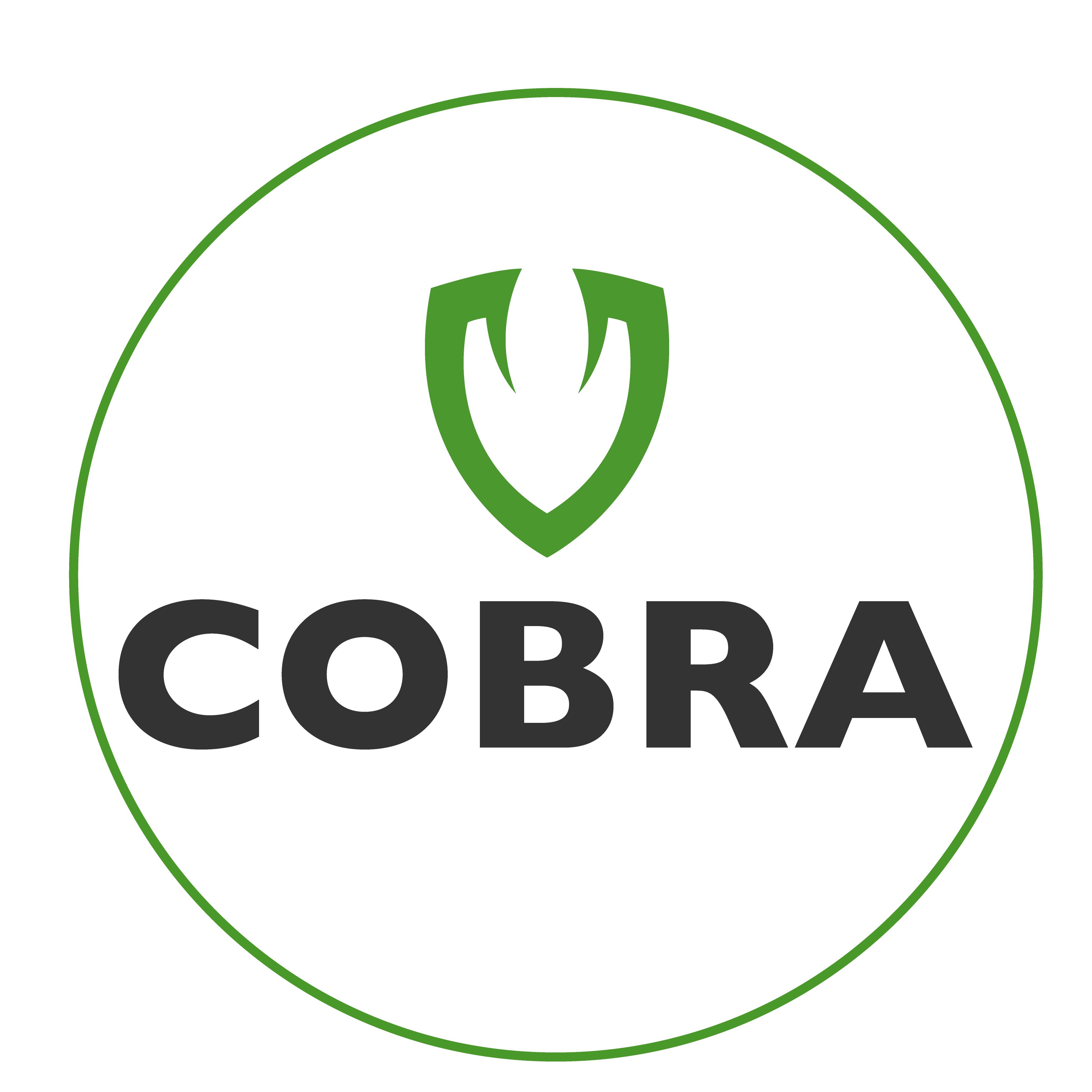 Avatar for Cobra Deck And Concrete Restoration