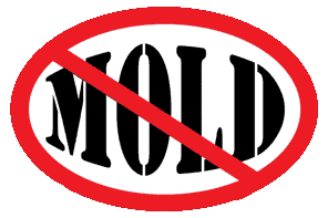 Avatar for The Best Air Quality and Restoration