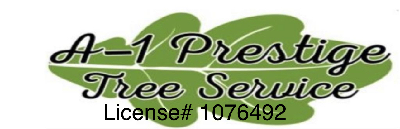 Avatar for Tree Service