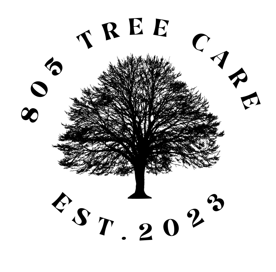 Logo for 805 Tree Care