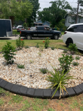 Avatar for Pedro's Lawn & Tree Services