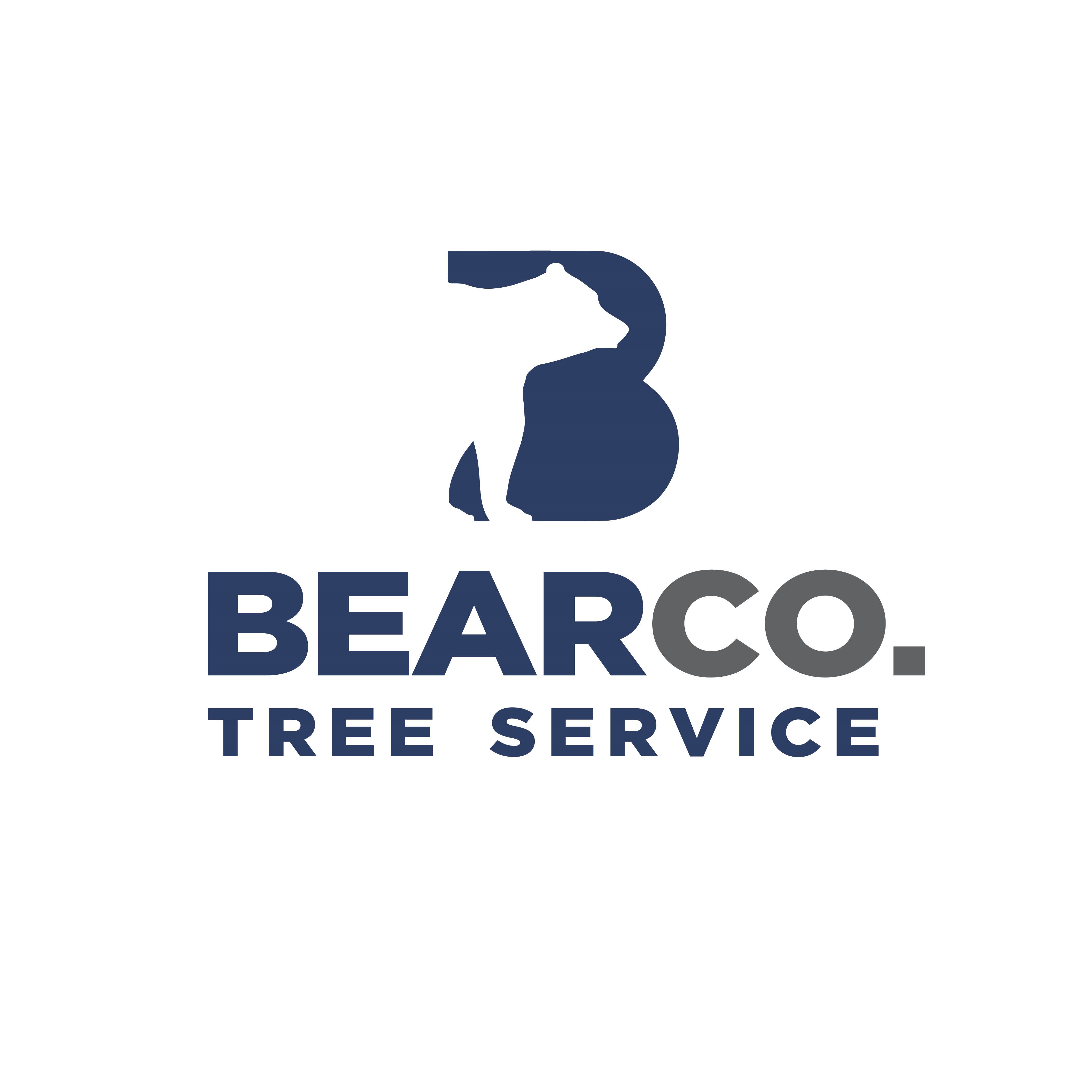 Avatar for BearCo. Tree Service