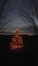 Avatar for Christmas Tree Delivery and Setup