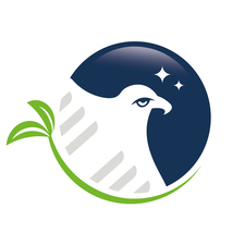 Avatar for Gray Eagle Painting