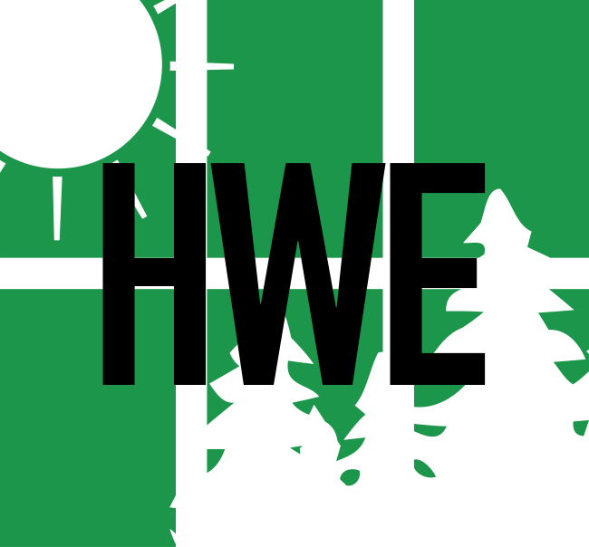 Houston Window Experts logo