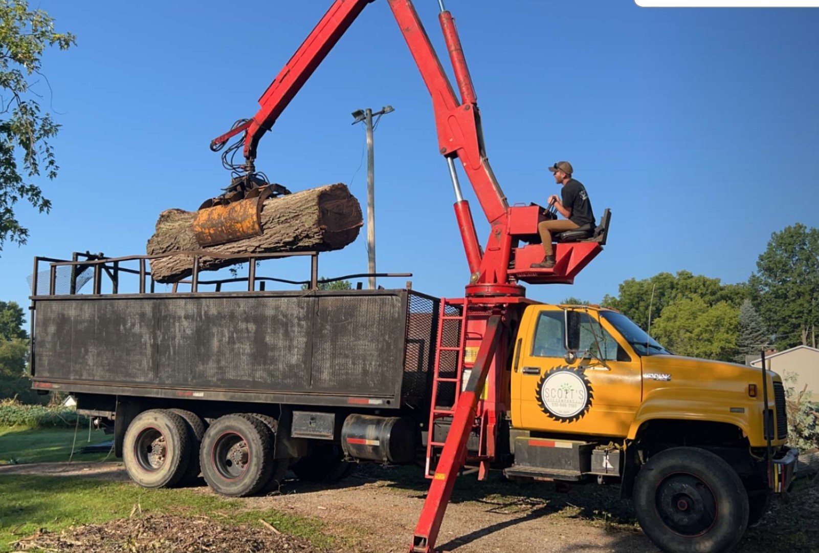 Scott's Tree Company LLC logo