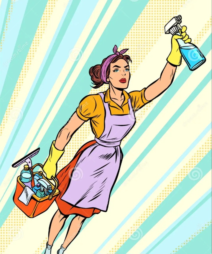 Lakeland Cleaning Services logo