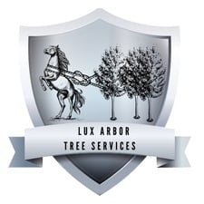 Avatar for Lux Arbor Tree Services LLC