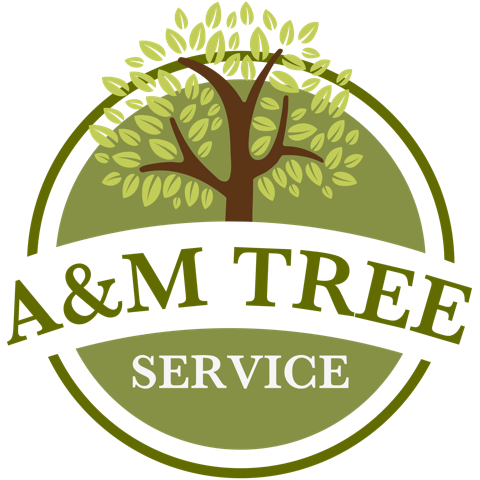 Avatar for Affordable Tree Service, LLC