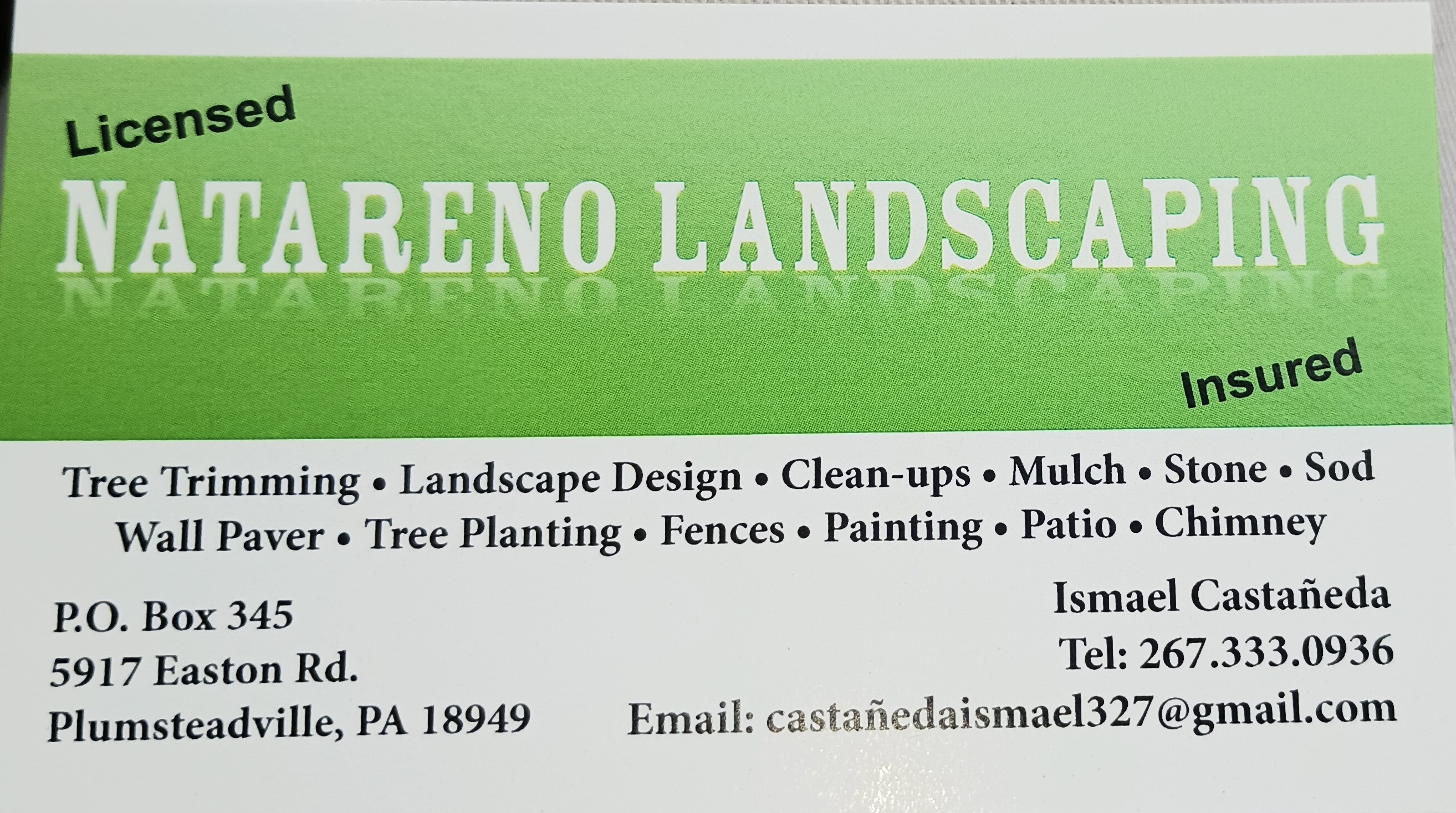 Avatar for Natareno Landscaping Inc