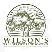 Avatar for Wilson's Tree Service