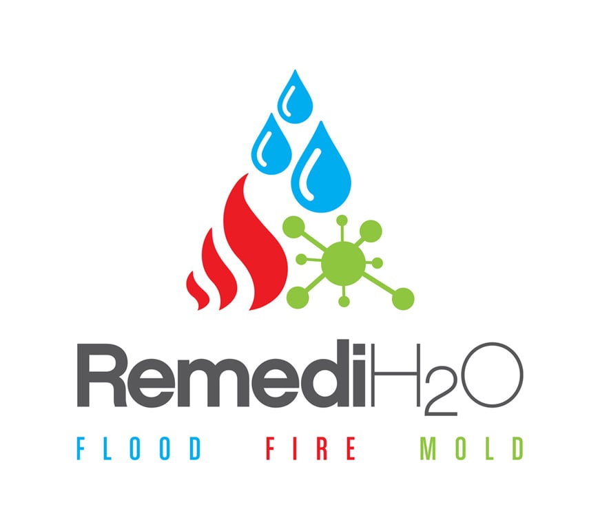 Avatar for RemediH2O