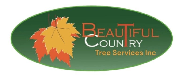 Avatar for Beautiful Country Tree Services, Inc.