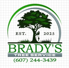 Avatar for B&E Landscaping