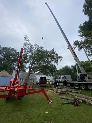 Avatar for M&G Tree Services, LLC