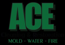 Avatar for Ace Cleaning and Restoration