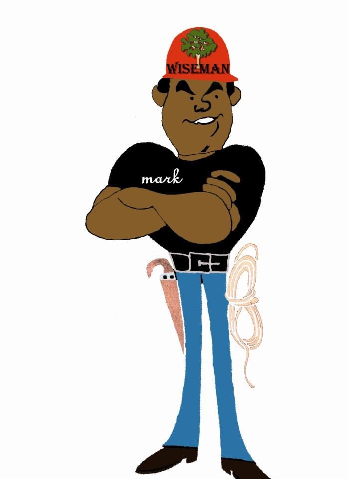 Logo for Wiseman Tree Experts