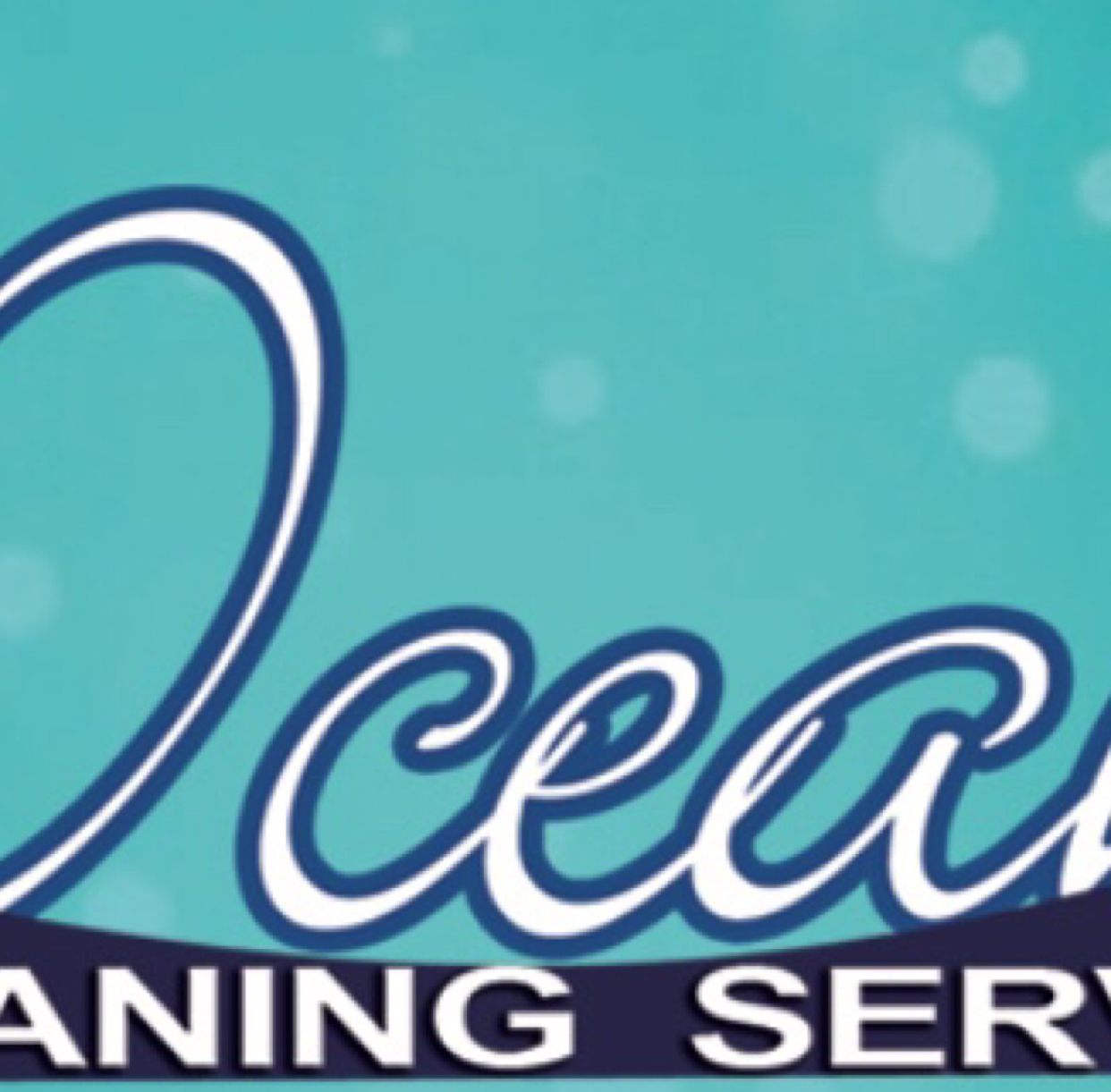 Avatar for The Ocean Cleaning Services