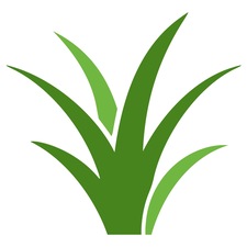 Avatar for Phenomalawn
