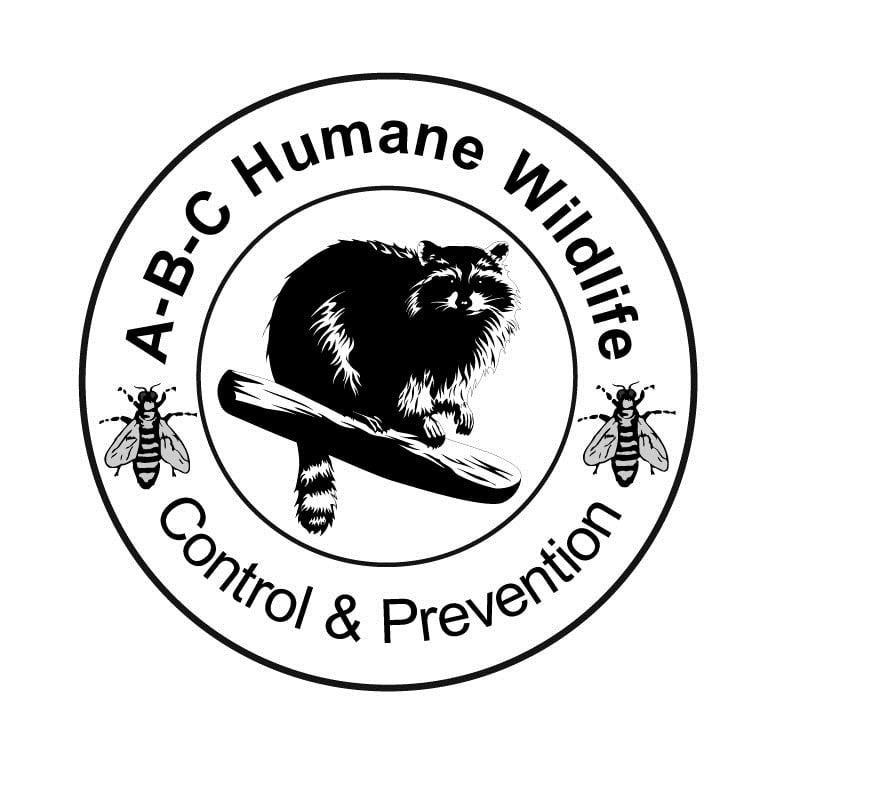 Avatar for ABC Humane Wildlife Control & Landmark Pest Mgt