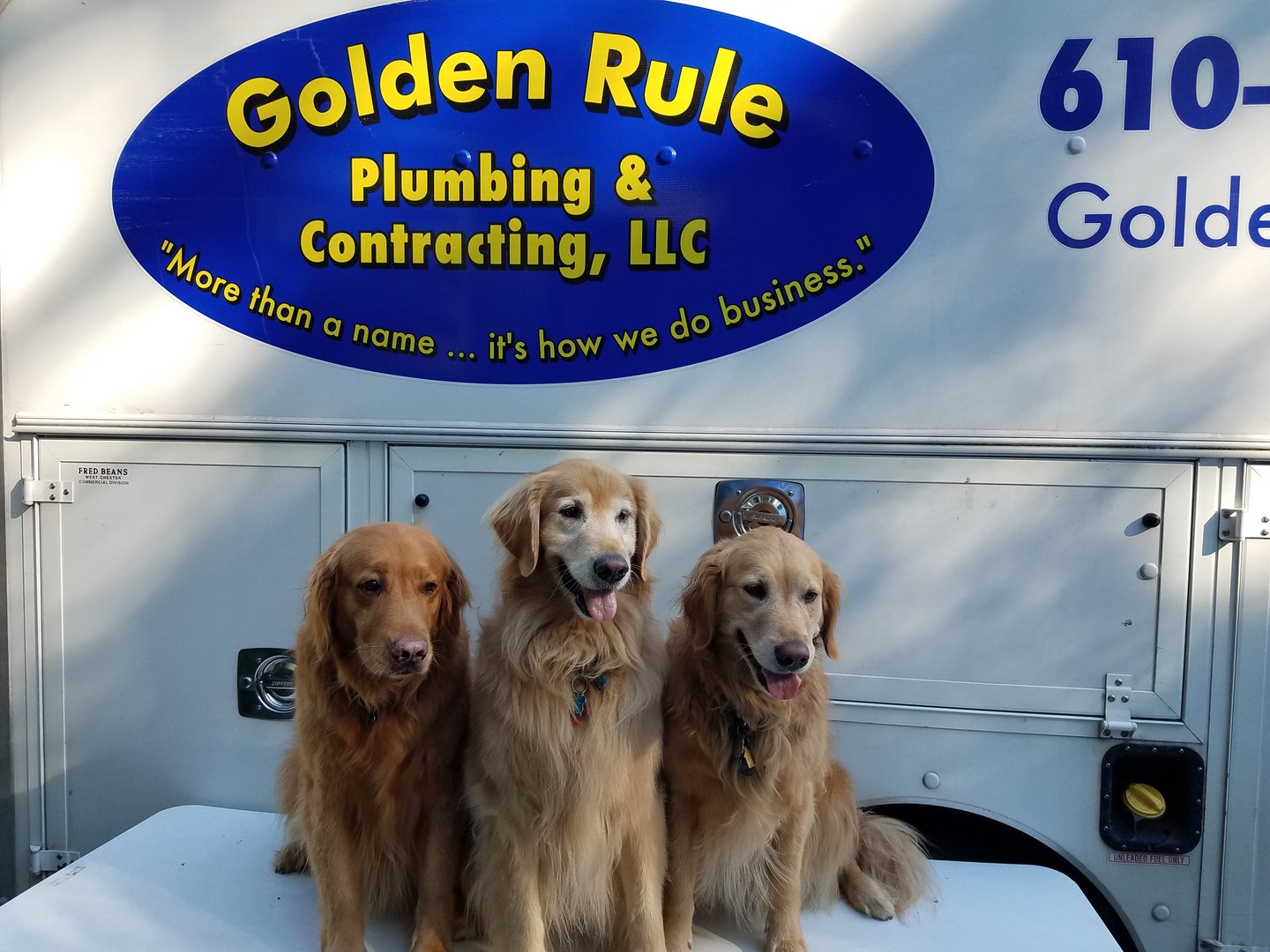 Avatar for Golden Rule Plumbing & Contracting, LLC
