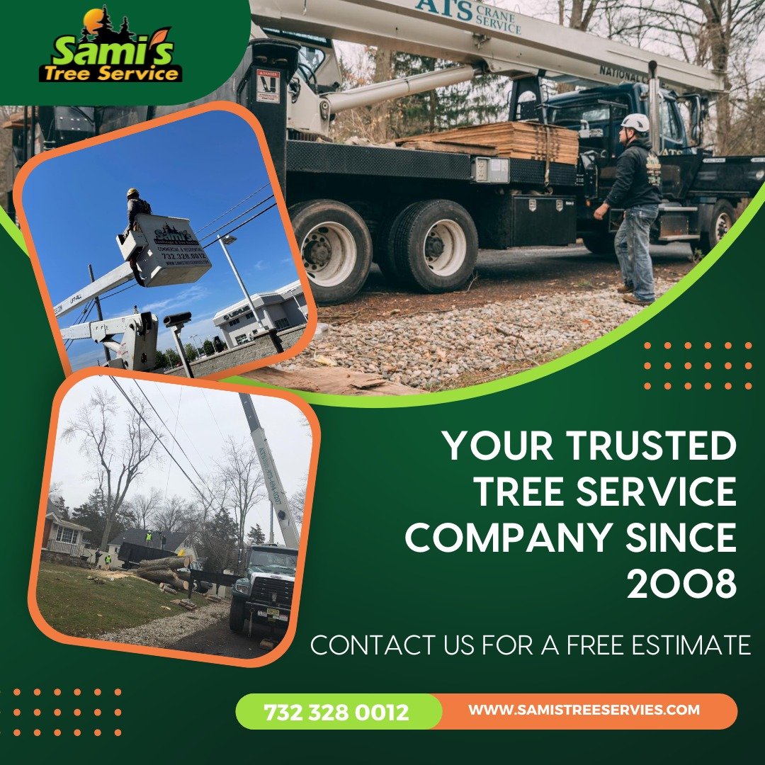 Avatar for Sami's Landscape & Tree Service LLC
