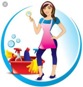 Avatar for Gaia Cleaning Specialists