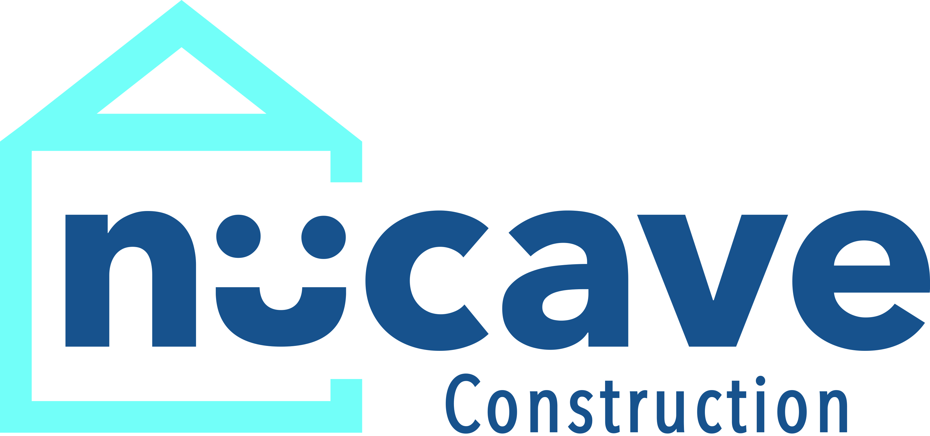 Avatar for Nucave Construction Inc.