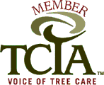 Logo for Independent Tree