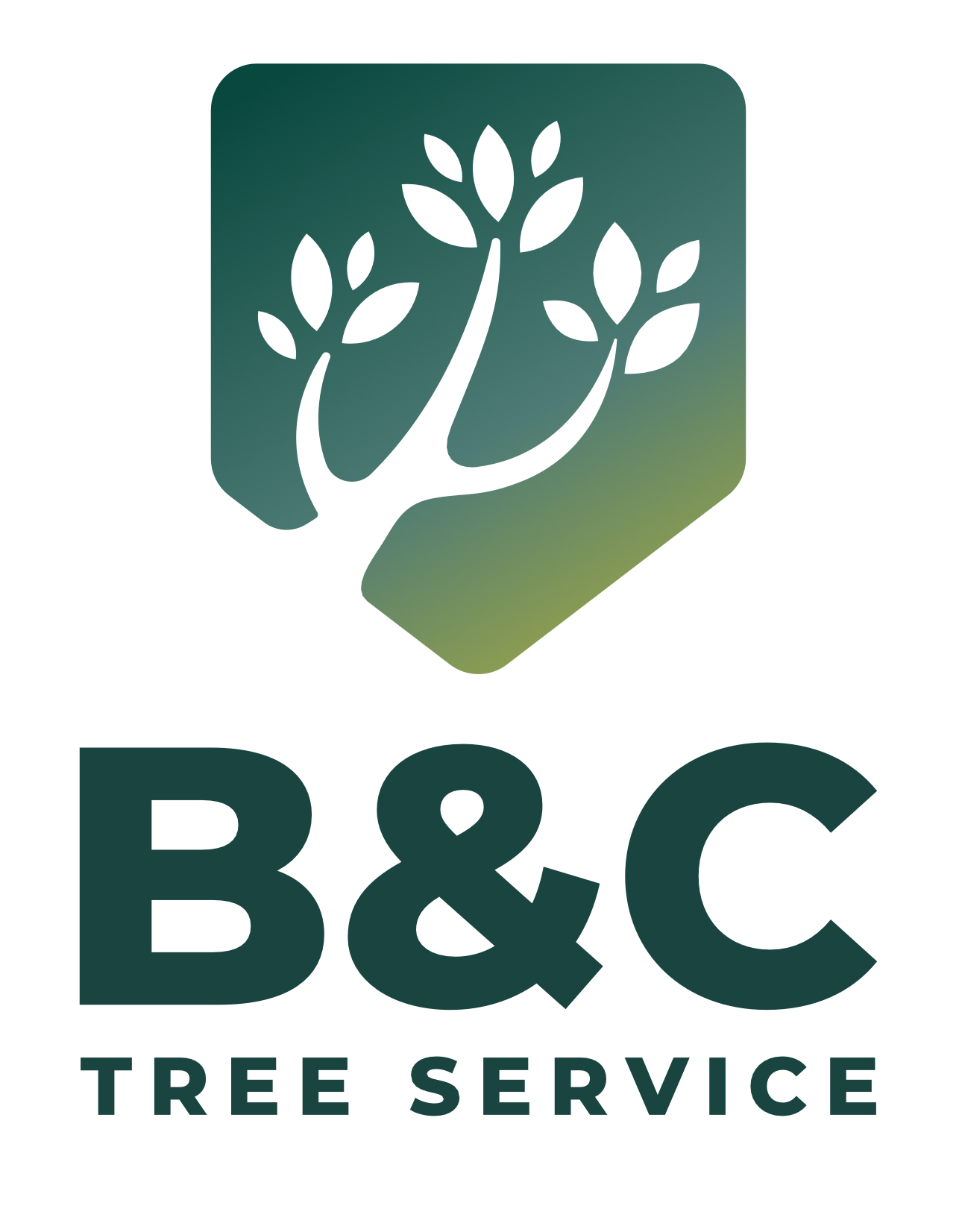 B&C Tree Service logo