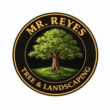 Avatar for Mr Reyes Tree & Landscaping