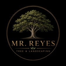Avatar for Mr Reyes Tree & Landscaping
