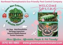 Avatar for Green Man Exterminator, LLC