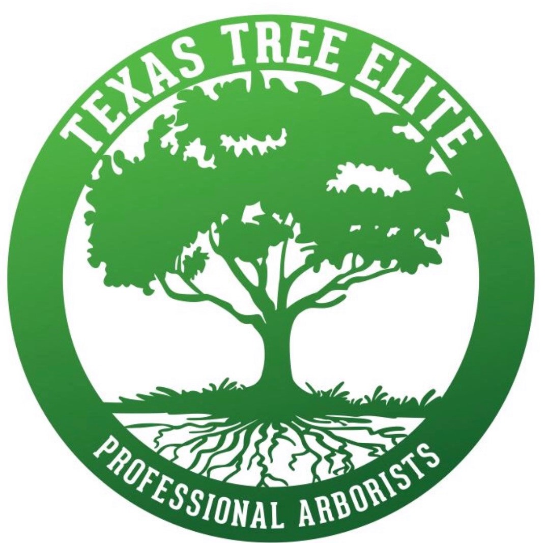 Avatar for Texas Tree Elite