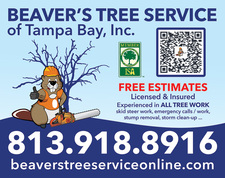 Beaver's Tree Service of Tampa Bay Inc logo