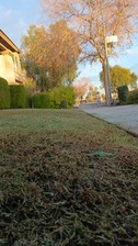 Avatar for L.M. Landscaping